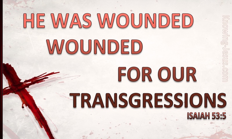 Isaiah 53:5 He Was Wounded For Our Transgressions (pink)